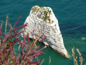 Villas Villa Roc Vaudieu - Charmante maison de pecheurs : photos des chambres
