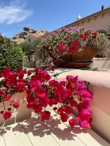 Capo d Orso - Borgo dell Orso - Casa vacanze