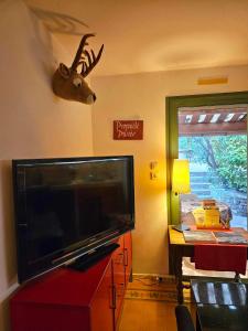 Maisons de vacances studio cosy en campagne provencale : photos des chambres
