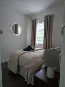 Perfect home from home, Heart of Belfast Sleeps 6