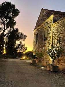 Bâtisse au cœur dun vignoble