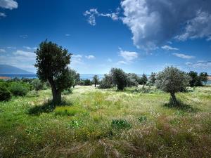 Hotel Ledra Samos Greece