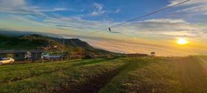 Rai Saeng Mek ไร่เเสงเมฆ