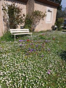 Sejours chez l'habitant Chambre dans Petit havre de paix avec piscine chauffee au coeur du Luberon : Chambre Lits Jumeaux