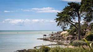 Appartements Cap sur l-ocean : photos des chambres