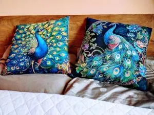 Apartament Bażantów - 卡托维兹