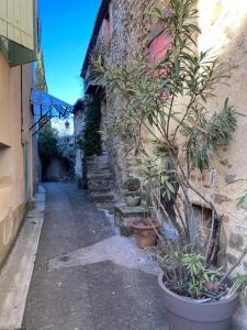 Maisons de vacances La Meladiere : photos des chambres