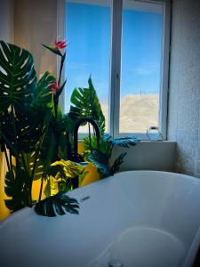 Appartements La Suite Balinaise, vue mer et dunes - MALO-Cation : photos des chambres