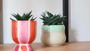 Medluxe family apartment!