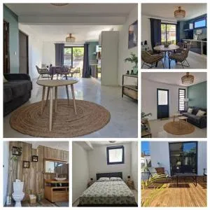 Leu Calyptus - Stella Matutina