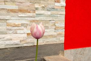 Apartamento de 2 dormitorios con terraza