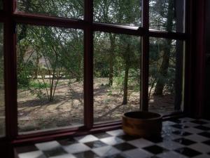 Stay Classy - Tiny House