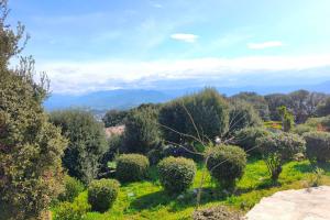Maisons de vacances Apartment 3 rooms with garden in Ajaccio : photos des chambres