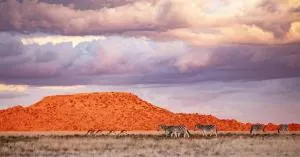 Kishindo Tiger Canyon Private Game Reserve - Bethulie