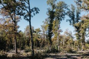 Campings Camping Liberte Verdon : photos des chambres