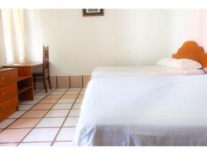 OYO Hotel San Felipe Inn