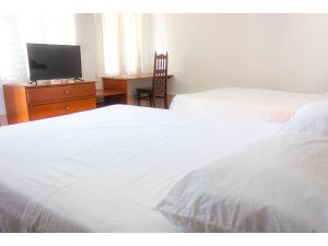 OYO Hotel San Felipe Inn