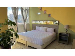 OYO Hotel Museo Carnaval