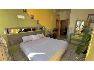 OYO Hotel Museo Carnaval