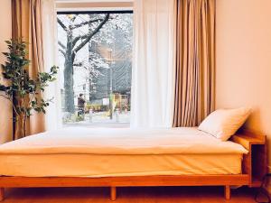 新上双卧套房 最大5人 设计师风格Yaof 东京中心上野公园3分钟 车站1分钟 位置极佳超级繁华 房间内看樱花