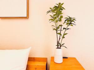 新上双卧套房 最大5人 设计师风格Yaof 东京中心上野公园3分钟 车站1分钟 位置极佳超级繁华 房间内看樱花