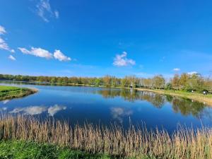 Tiny chalet Zeeland, centraal gelegen & natuur rondom VP028