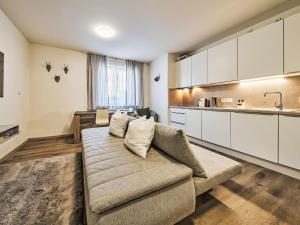 Apartment Černý Důl-4 by Interhome