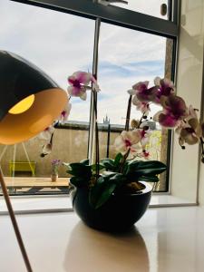 Central, Modern Apartment - Private Terrace - Dog Friendly