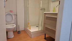 Logement Haussmannien Lumineux Bordeaux Centre