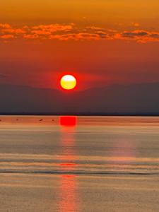 Baobloom by the sea in the heart of Thessaloniki