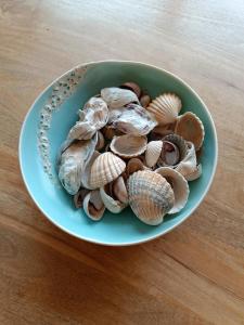 Gezellig appartement met zeezicht en garage