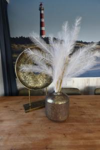 Chalet Duinzicht G68 Ameland