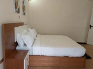 Hidsol Apartment - Addis Ababa Bole internasjonale flyplass