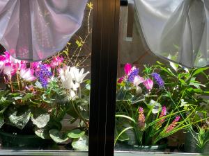 Venetian dream apartment