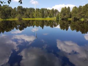 Ferienwohnungen Schönwald