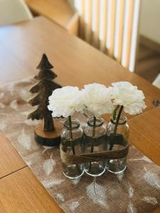 Appartements Duplex vue piste dernier etage 8-10 personnes : photos des chambres