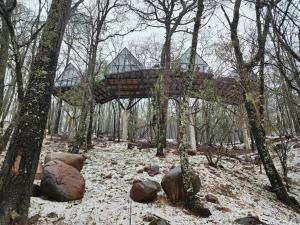 Cabaña Austral, Punta del Bosque