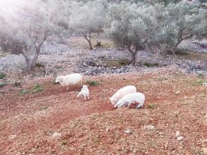 Room No stress on Cres