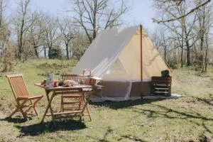 WilderCamp - Almeida