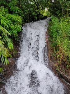 Robins Paradise Vagamon
