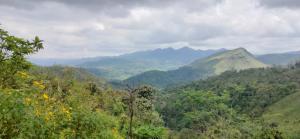 Robins Paradise Vagamon