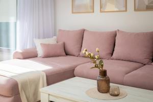 Dalmatian Olive Apartment