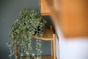 Cinco Soles - Arenal Beach apartment