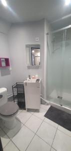 Appartements Chambres privees dans maison avec jardin-Proche LDLC-Groupama Stadium-Eurexpo : photos des chambres