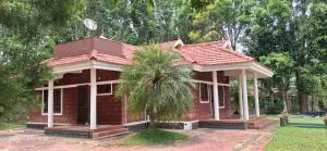 Blooms Aquatica - Pulpally