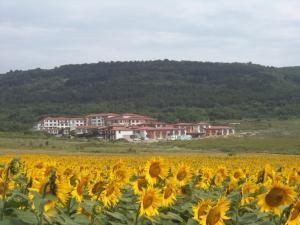 Harmony Hills Tomovi Apartment K32