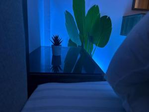 Elegant Stay 2BR in Privado