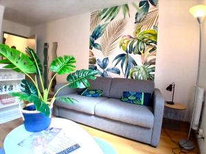 Studio cosy au cœur de Nîmes.