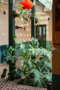 Hill Village Phu Yen