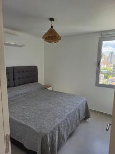 Beautiful brand new apartment